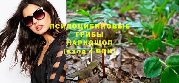 сатива Верхнеуральск