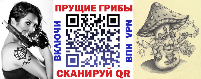 блэк спрут маркетплейс  Семилуки  Галлюциногенные грибы мицелий  наркота 
