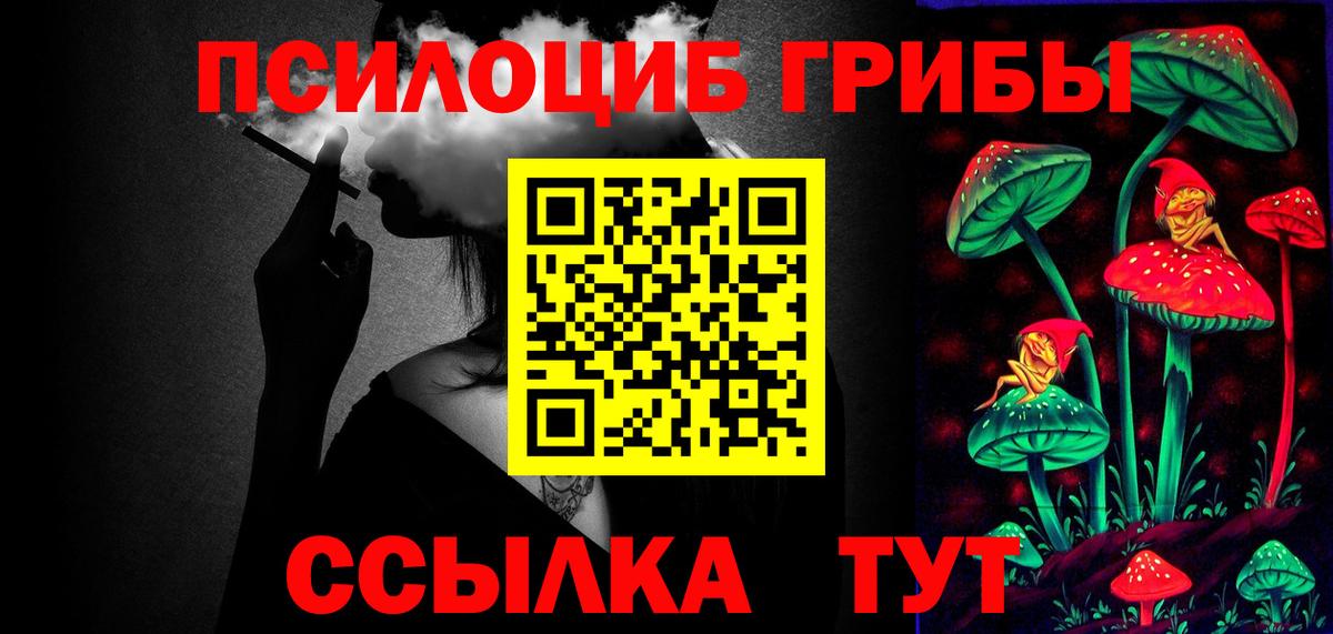 Псилоцибиновые грибы Cubensis Семилуки
