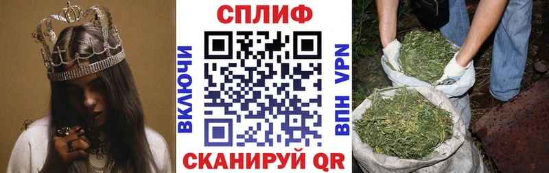 где купить наркоту  Семилуки  Каннабис Amnesia 